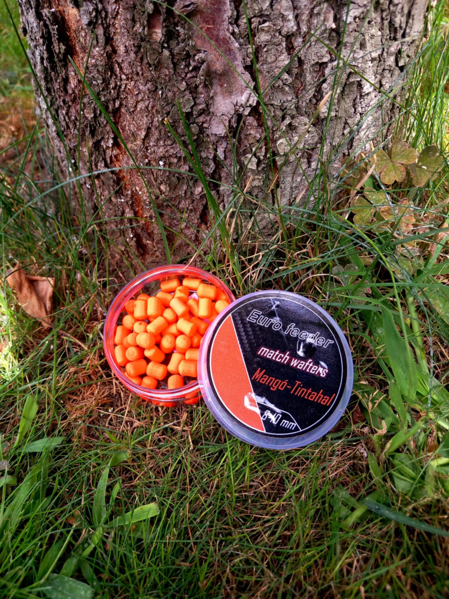 Match wafters Mangó-Tintahal ->